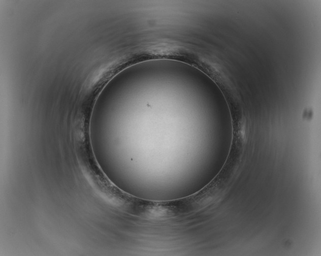 X0000112060547200908041217