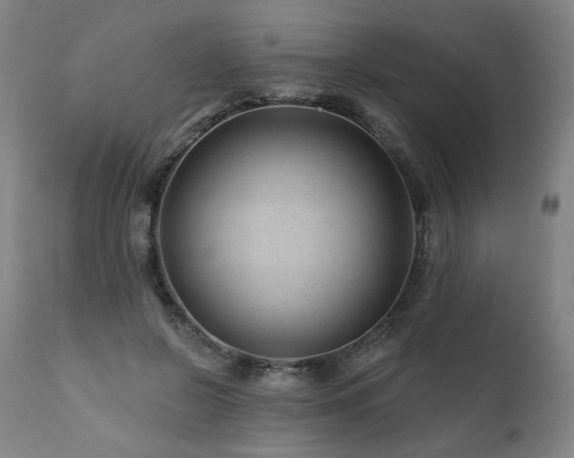 X0000112060550200908041217