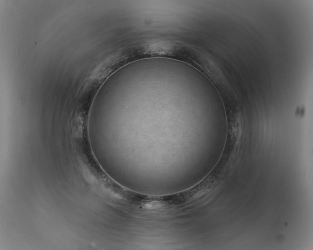 X0000112060551200908041217
