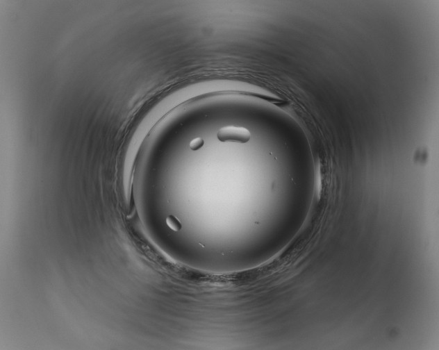 X0000112060552200908041217