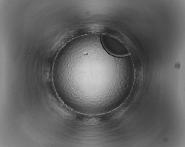 X0000112060553200908041217