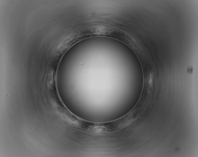 X0000112060554200908041217