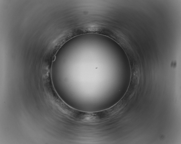X0000112060555200908041217