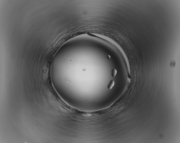X0000112060558200908041217