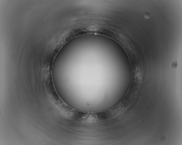 X0000112060559200908041217