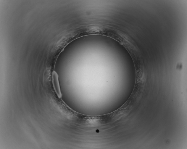 X0000112060560200908041217