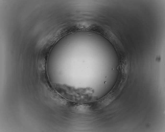 X0000112060561200908041217