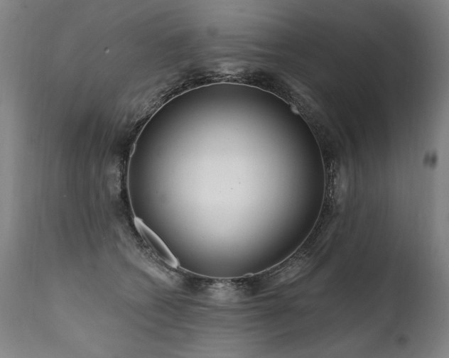X0000112060562200908041217