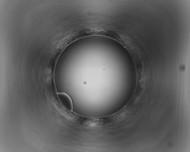 X0000112060563200908041217