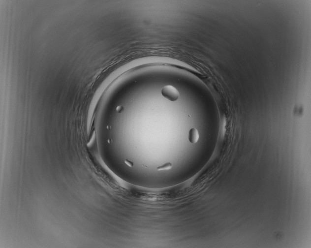 X0000112060564200908041217