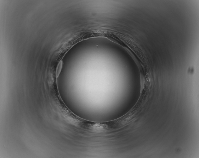 X0000112060566200908041217