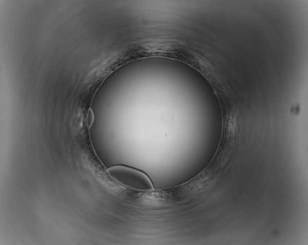X0000112060567200908041217