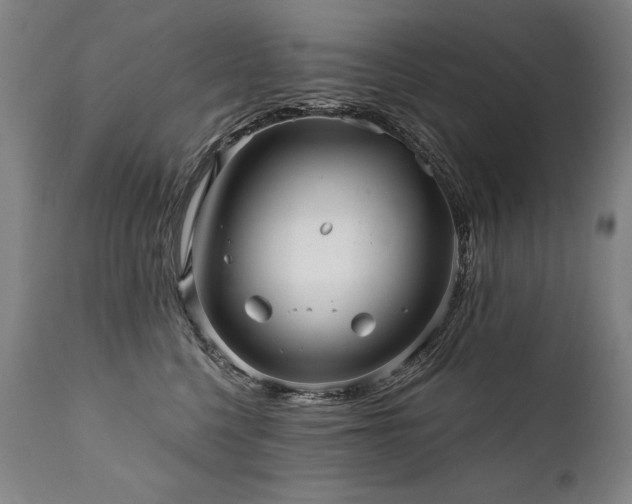 X0000112060568200908041217