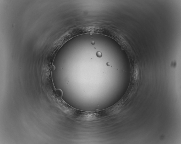 X0000112060569200908041217