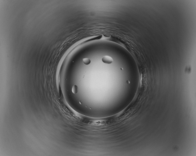 X0000112060570200908041217