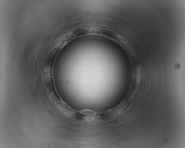 X0000112060571200908041217