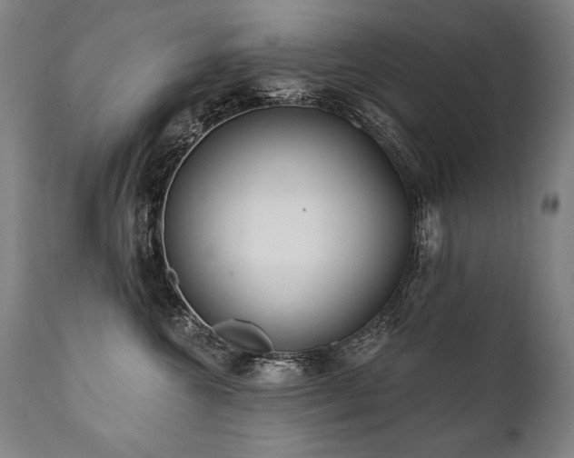 X0000112060572200908041217