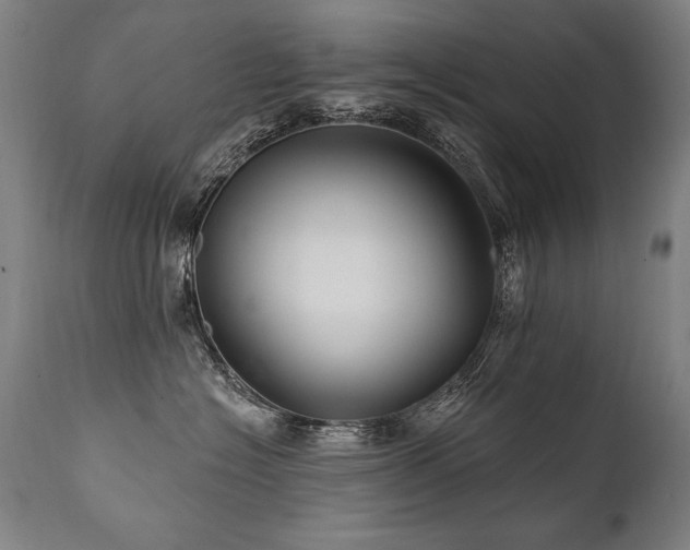 X0000112060574200908041217