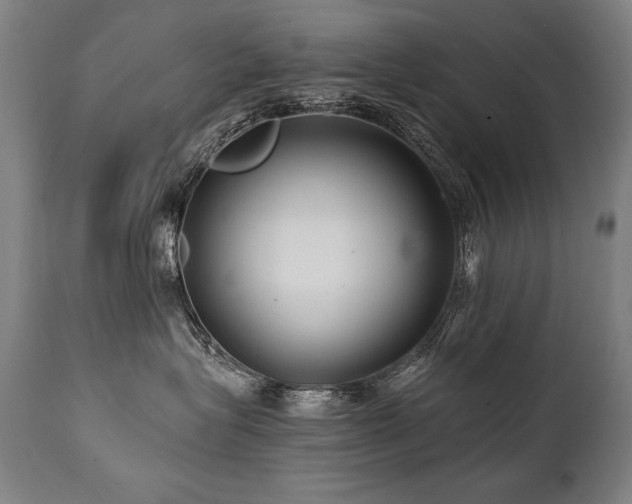 X0000112060575200908041217