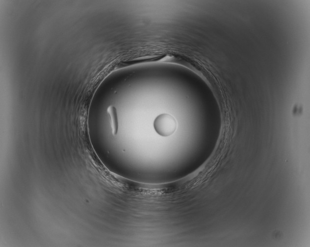 X0000112060576200908041217