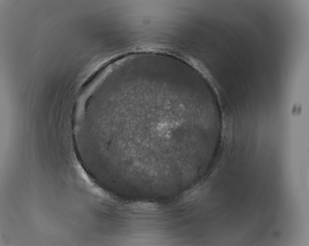 X0000112060577200908041216