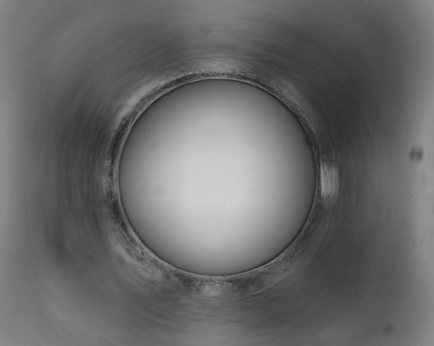 X0000112060579200908041216