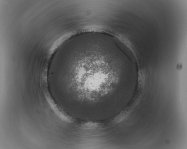 X0000112060581200908041216