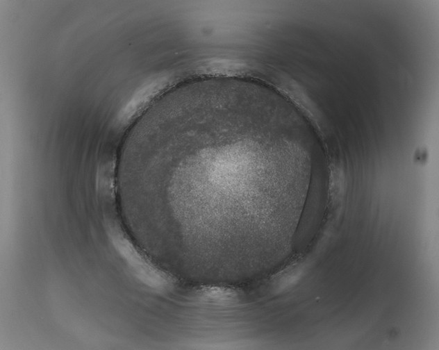 X0000112060585200908041216