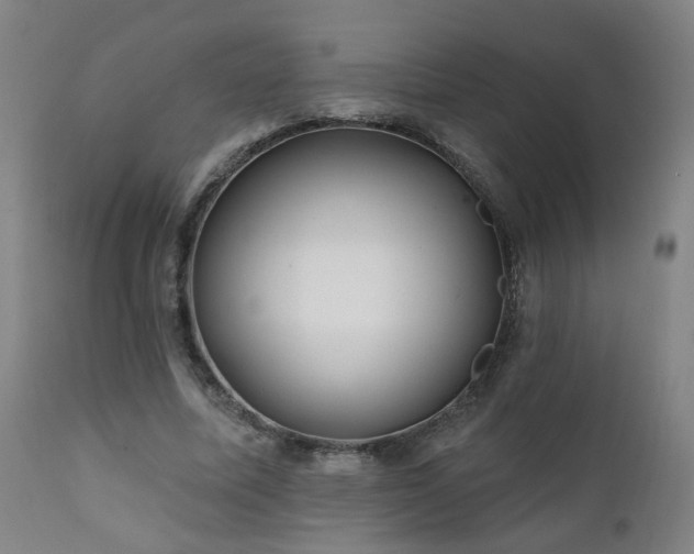 X0000112060587200908041216