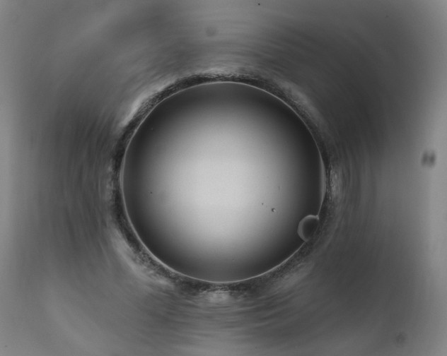 X0000112060588200908041216