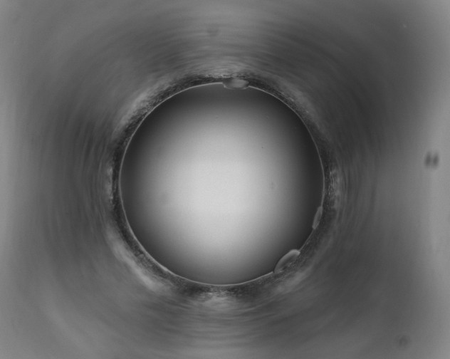 X0000112060589200908041216