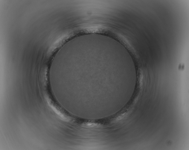 X0000112060590200908041216