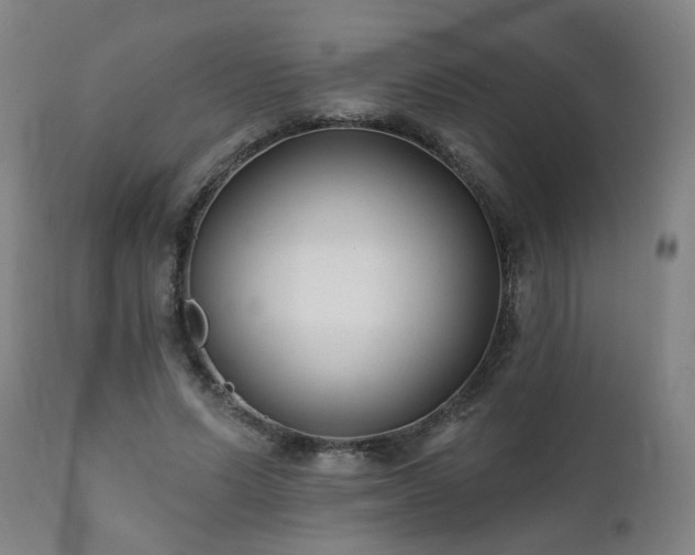 X0000112060591200908041216