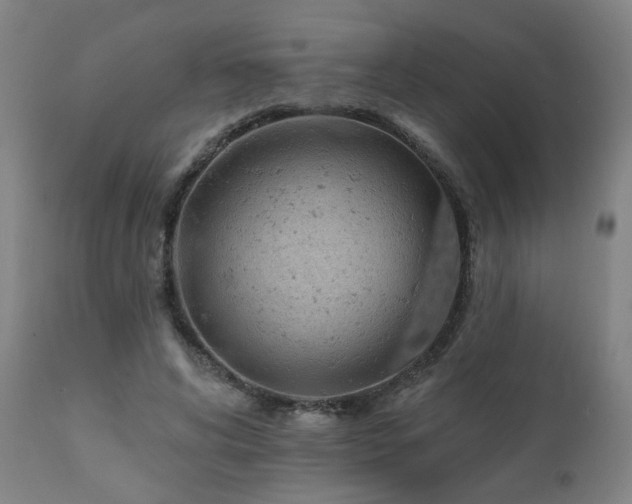 X0000112060592200908041216