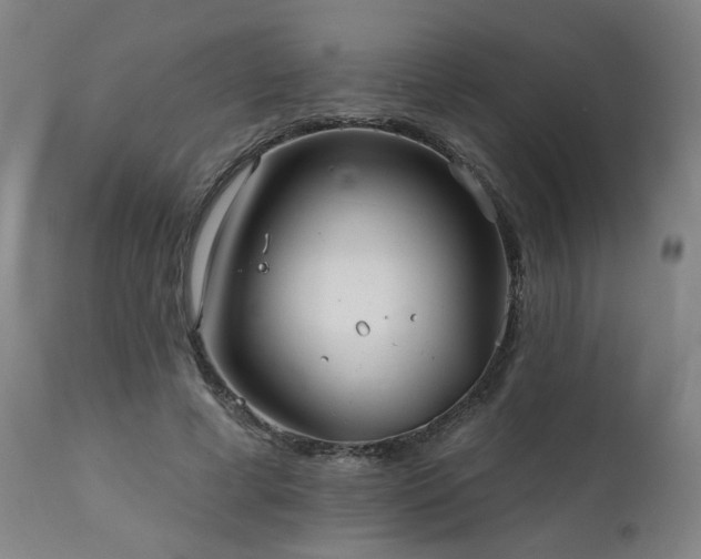 X0000112060593200908041216