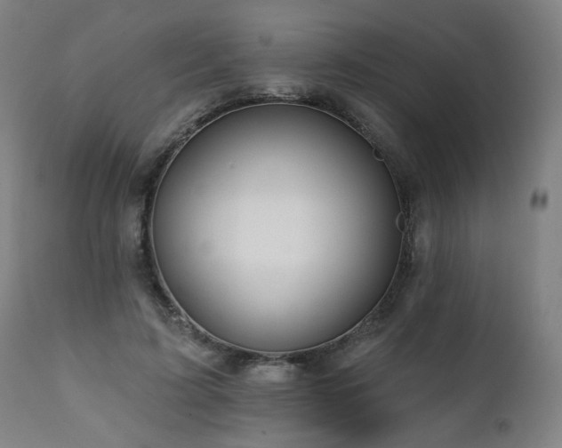 X0000112060595200908041216