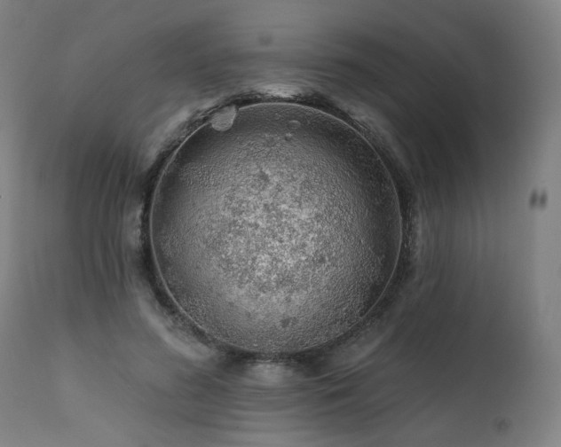 X0000112060596200908041216
