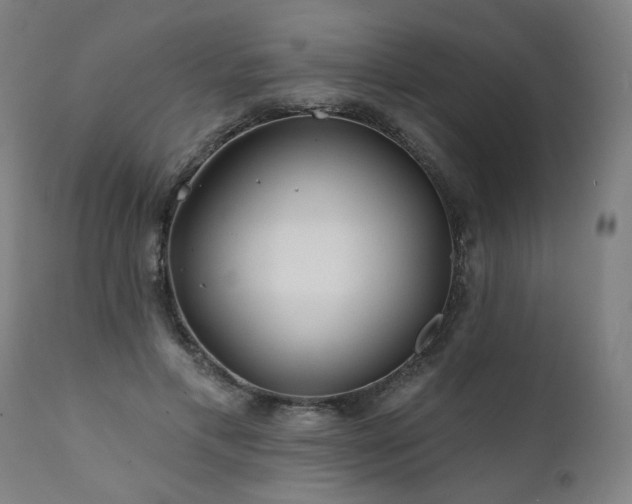 X0000112060597200908041216