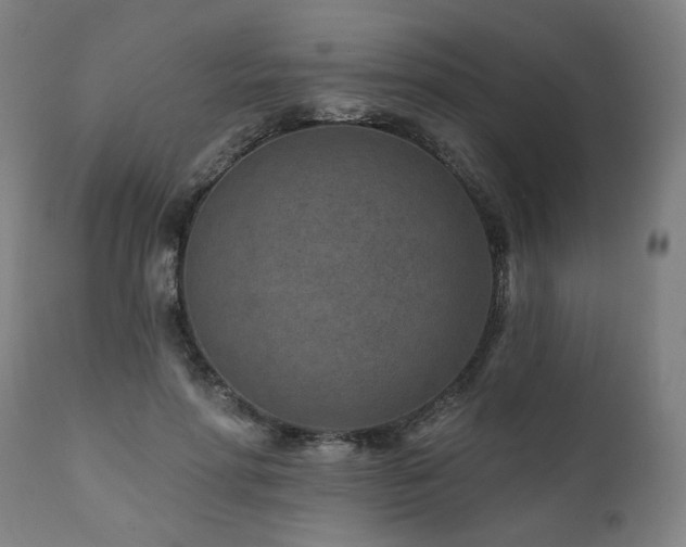 X0000112060598200908041216
