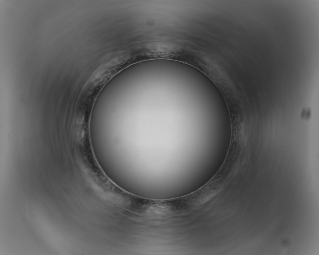 X0000112060599200908041216
