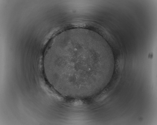 X0000112060600200908041216