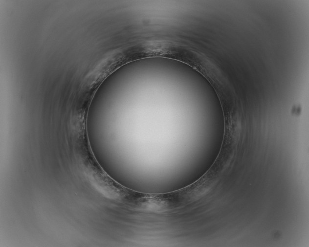 X0000112060601200908041216