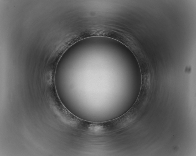 X0000112060602200908041216