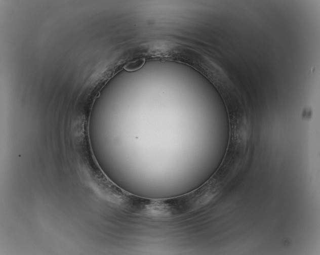 X0000112060603200908041216