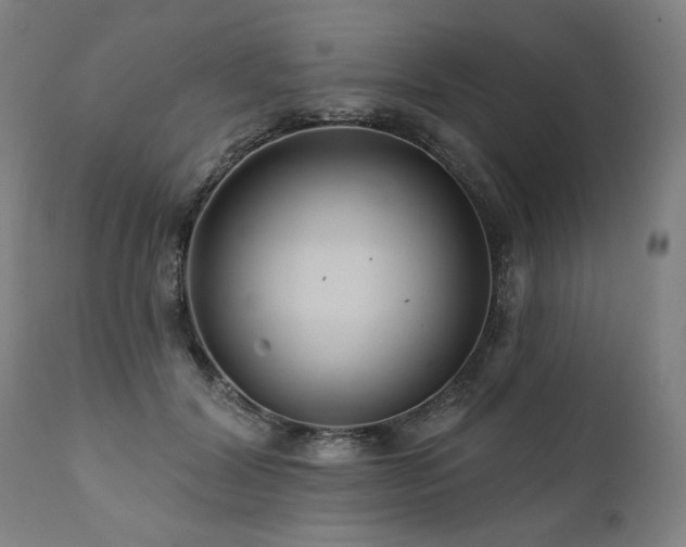 X0000112060604200908041216