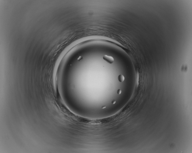 X0000112060606200908041216
