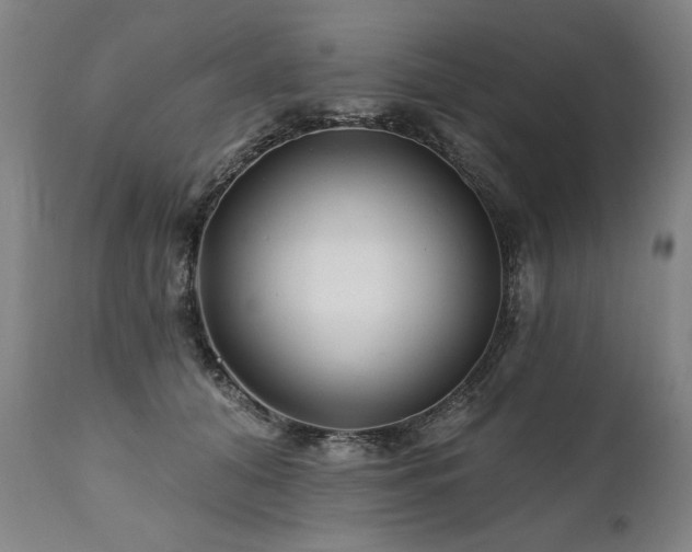 X0000112060608200908041216