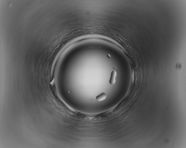 X0000112060613200908041216