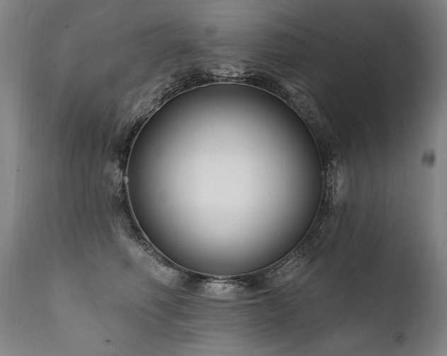 X0000112060614200908041216