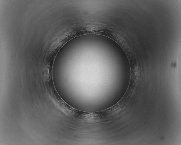 X0000112060615200908041216